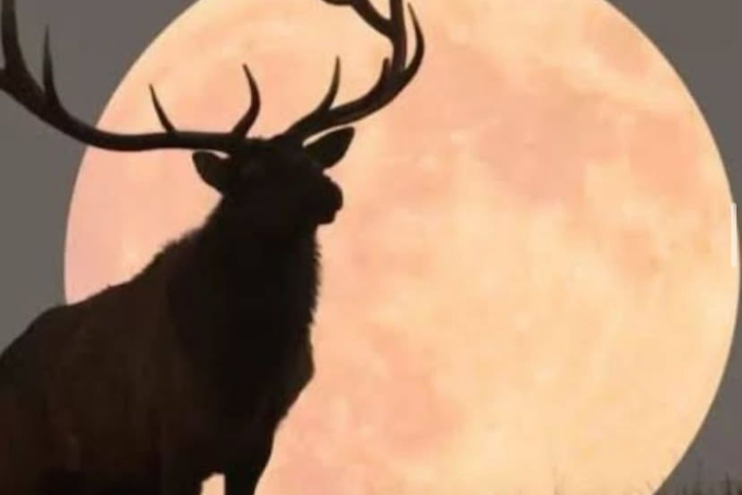 Design sem nome (56)