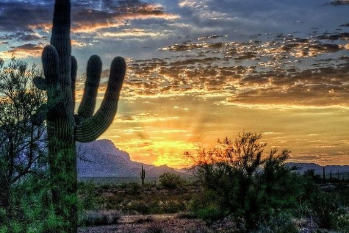 Design sem nome.zip - 1