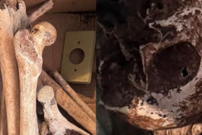 Design sem nome.zip - 2