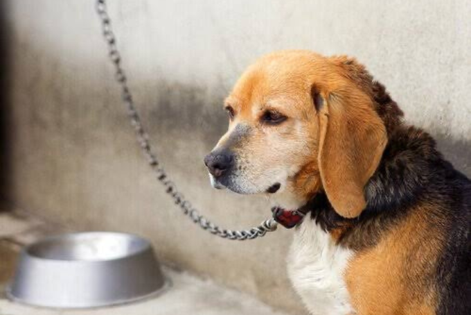 Design sem nome.zip - 2