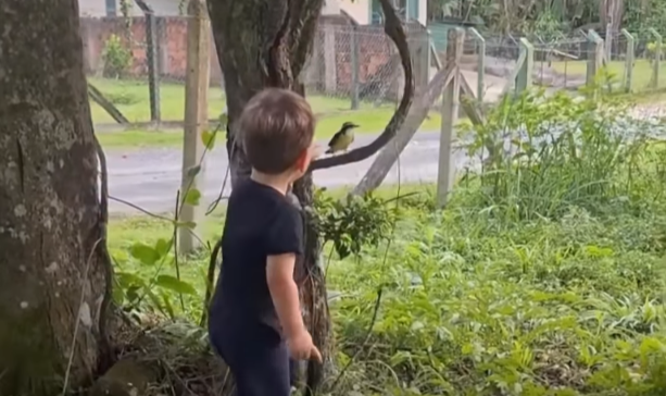 Captura de tela 2025-11-03 061000