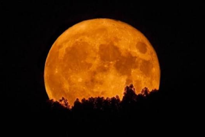 O SERTÃO É NOTICIA.zip - 2