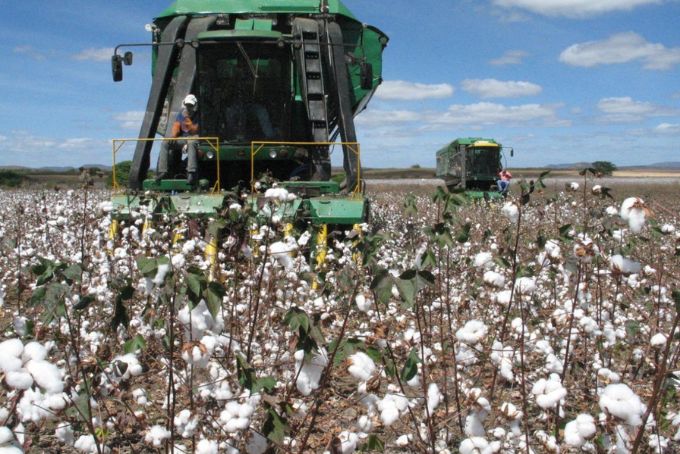 WhatsApp Image 2025-11-03 at 12.32.20 PM (1)