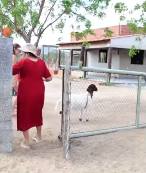 Captura de tela 2025-12-23 101714