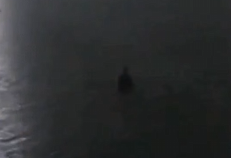 Captura de tela 2026-01-29 162607