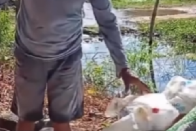 O SERTÃO É NOTICIA