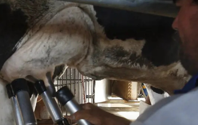 Captura de tela 2026-03-30 152035