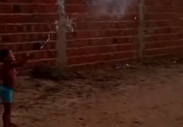 33