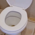 O SERTÃO É NOTICIA - POST