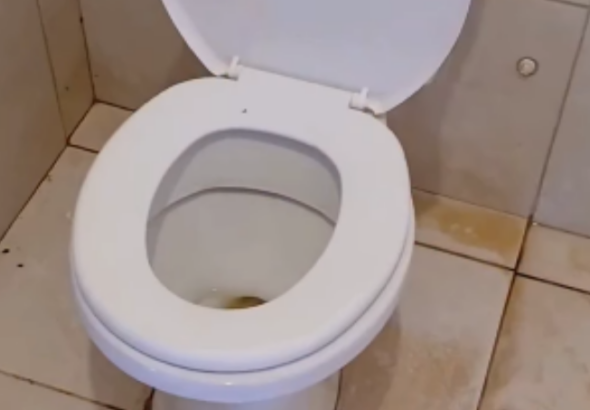 O SERTÃO É NOTICIA - POST