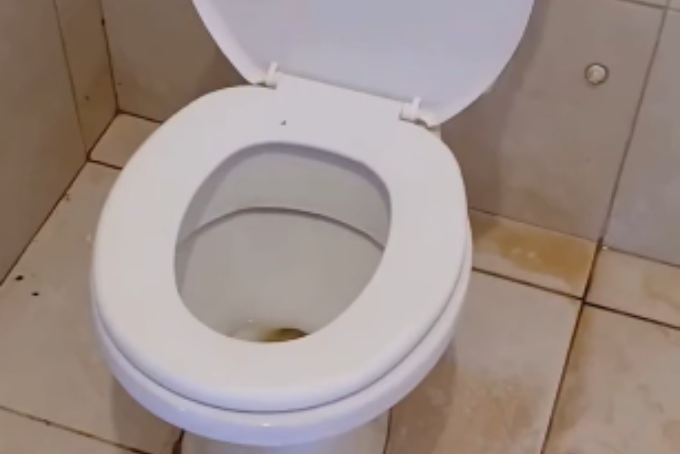 O SERTÃO É NOTICIA - POST