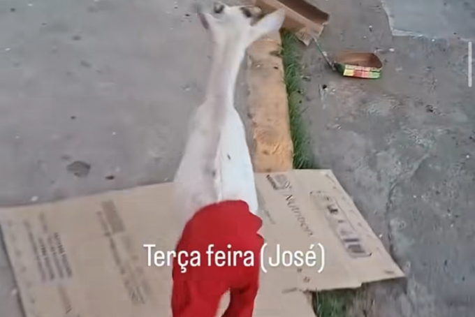 O SERTÃO É NOTICIA - POST - 38