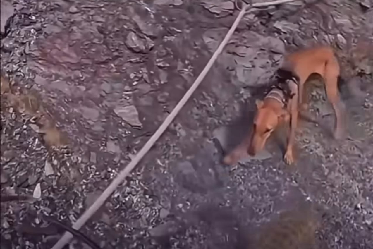 WhatsApp Image 2026-07-07 at 11.18.46 (3)